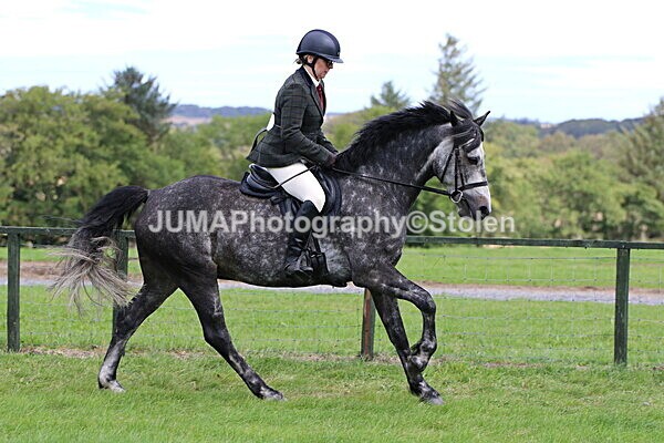 SIAL7398 - Ring 1 & 3