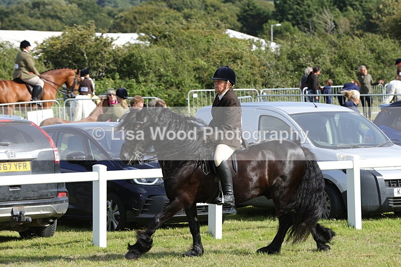 1X9A5988 - Class 42: NPS Dales, Fell, Highland