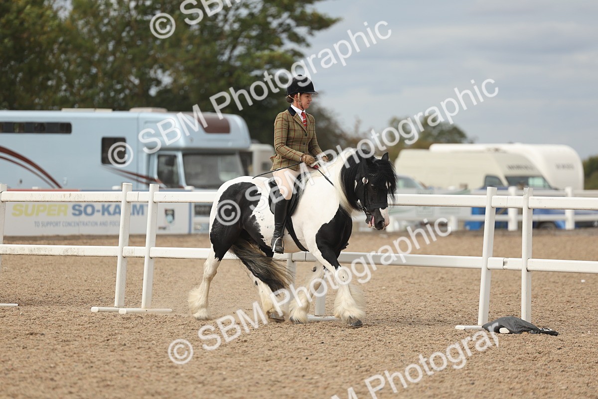 SBM_17990 - Class 314 - Family Horse Pony