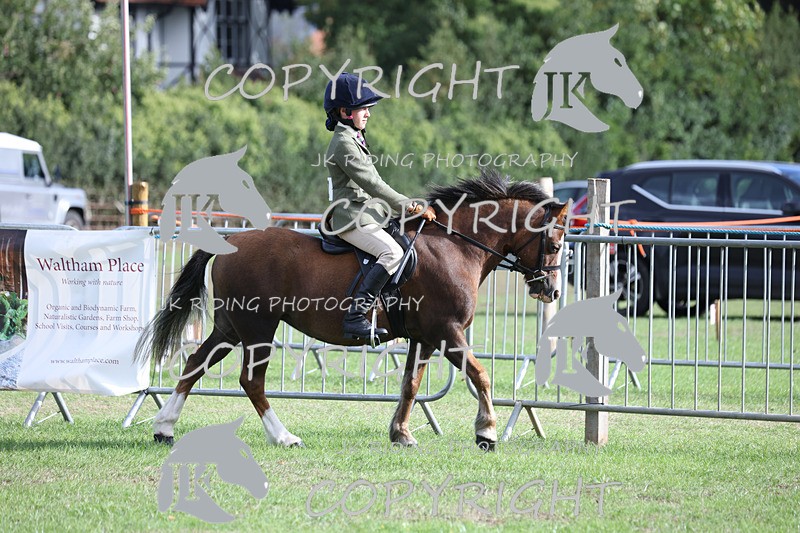 APP_4107 - Class 15a/b Pony club pony/Riding club horse