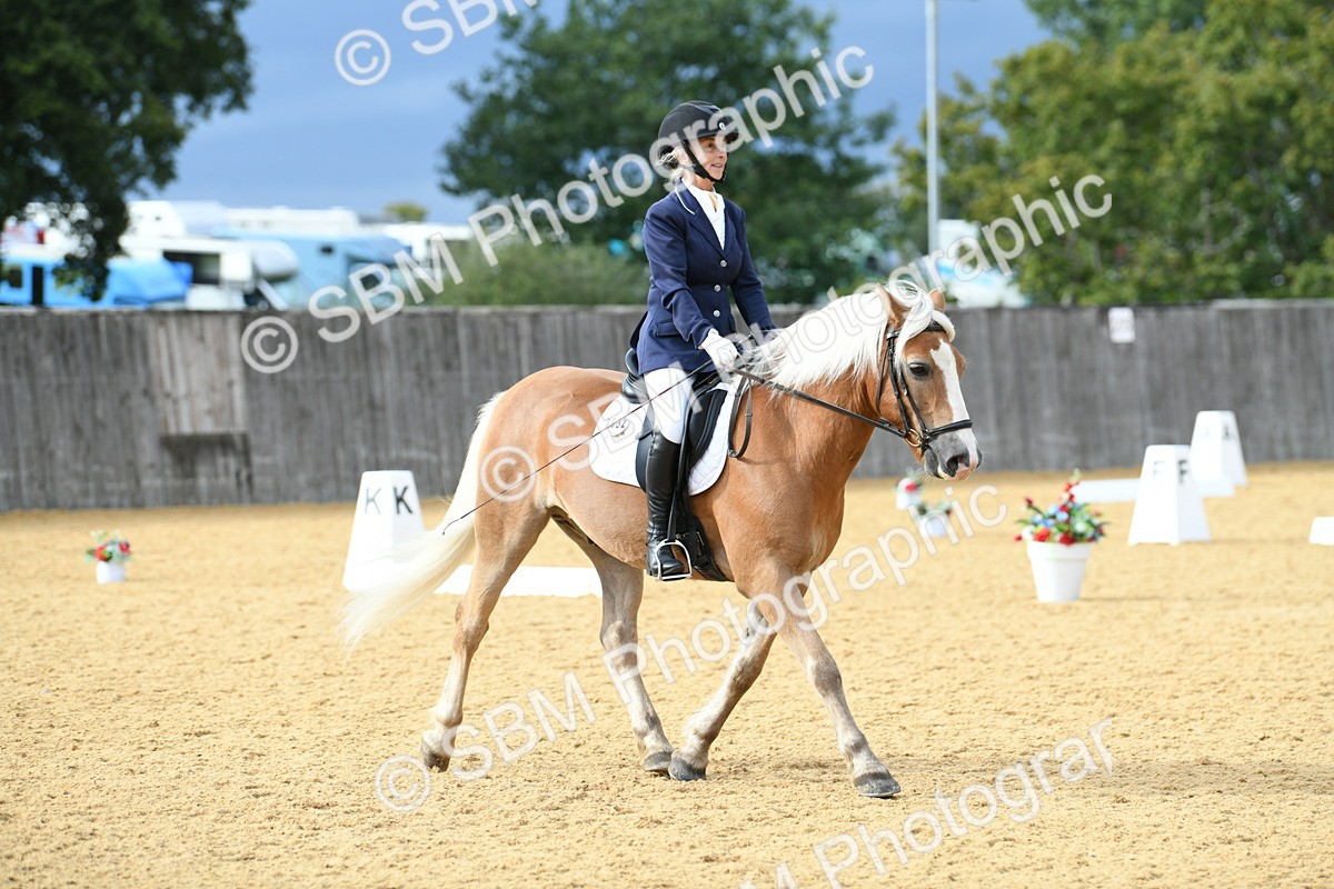 SBM_10933 - D28 Elementary Taster Elementary 42