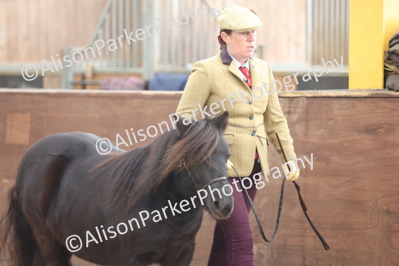 20251109-0093 - Class 5 - Mares 4 Years and over