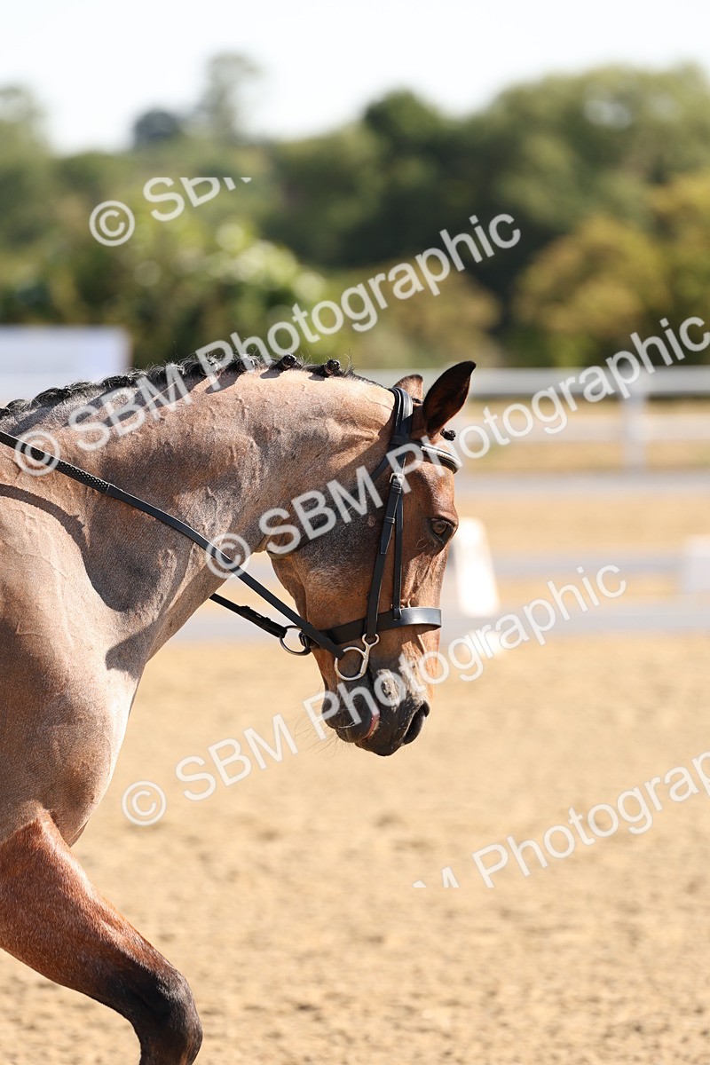 SBM_000312 - Intro 2 Warm Up