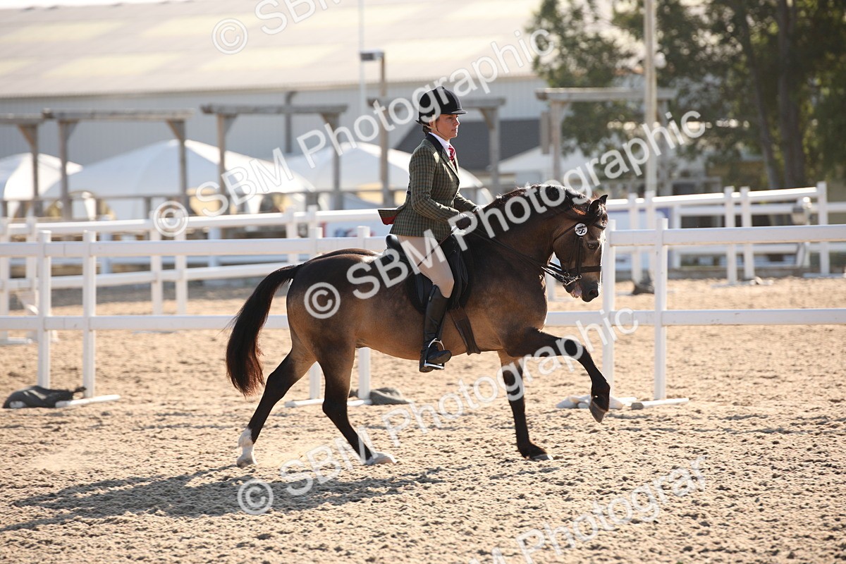 SBM_00637 - Class 14 Ridden M&M Wildcard