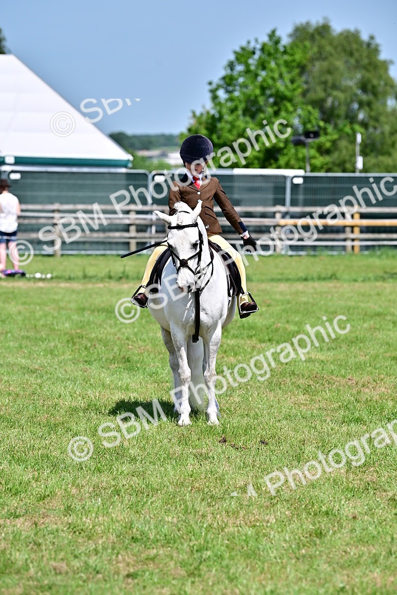 SBM_13983 - Class 95-97 - BSPS LHS Performance Ponies