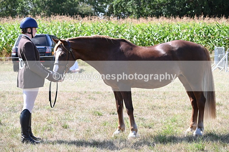 WJ6_4967 - Class 17 Mountain & Moorland