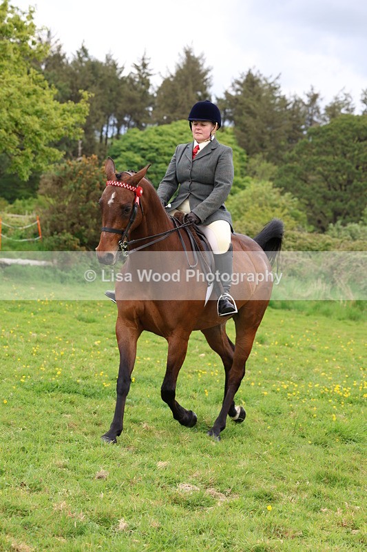 3E7A1785 - Class 9: Riding Club Horse/Pony