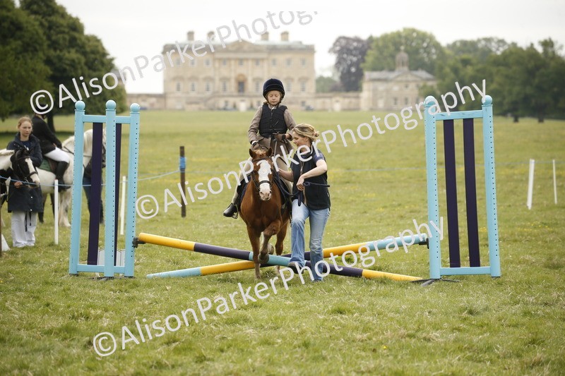 20250517-0309 - Class 1 - 30cm On Lead Rein