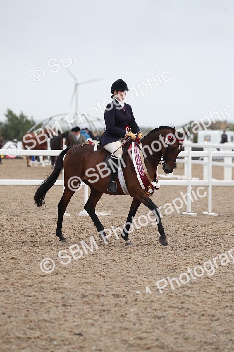 SBM_21682 - Class 602 - 2025 Area - Ridden Veteran
