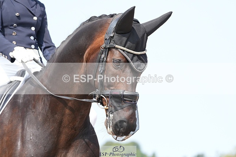 250815-115408-01002 - 011-Tess.WilsonHyatt