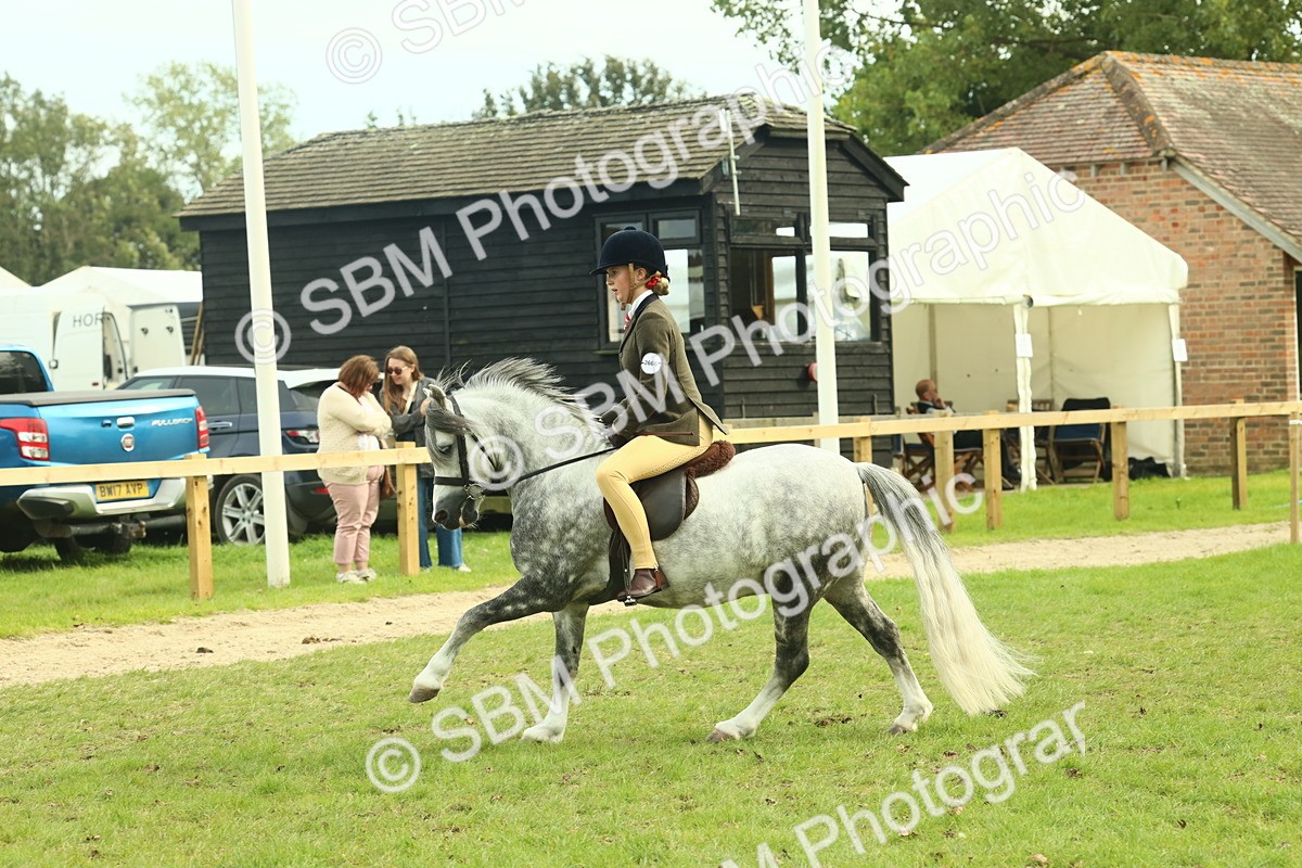 SBM_69868 - S59 - Mountain & Moorland Ridden Small Breeds