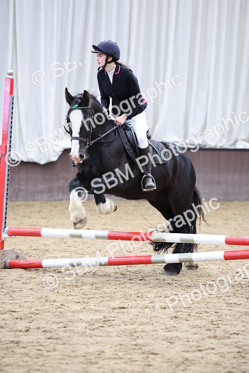 SBM_007309 - Class 2 - 50cm showjumping