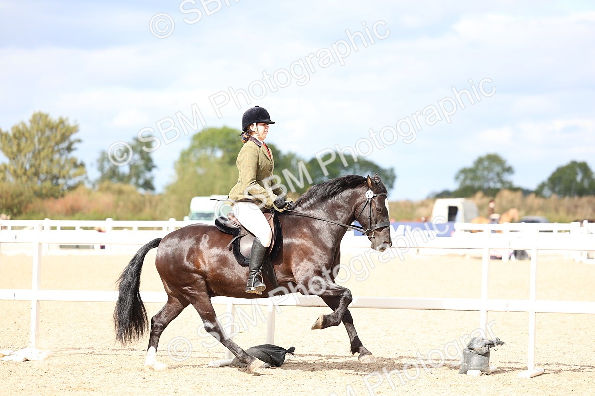 SBM_15796 - Class 314 - Family Horse - Pony