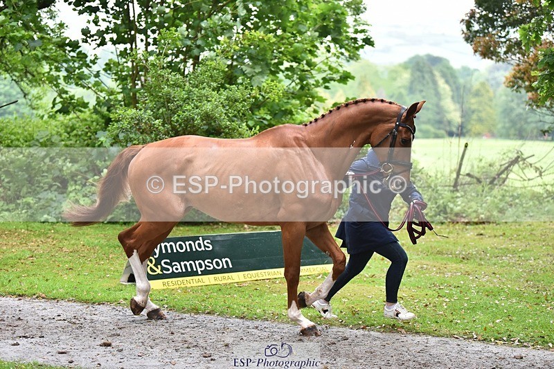 240522-165022-01191 - 263-CHILLI_MORNING_IV-Gemma_Stevens