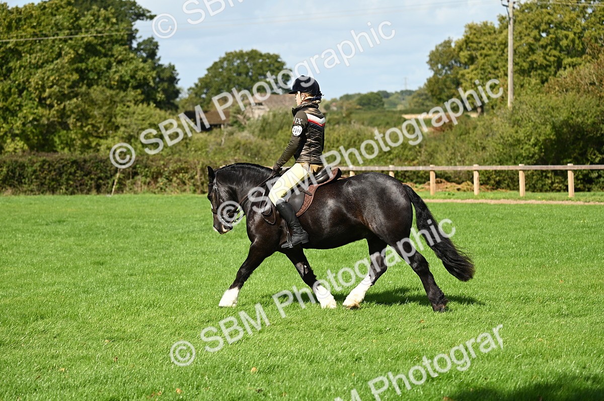 SBM_02881 - S3 - TSR Ridden Pony Showing