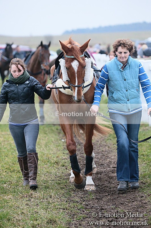 PtP 170219 -148 - Combined Services Point-To-Point Larkhill 17/02/19