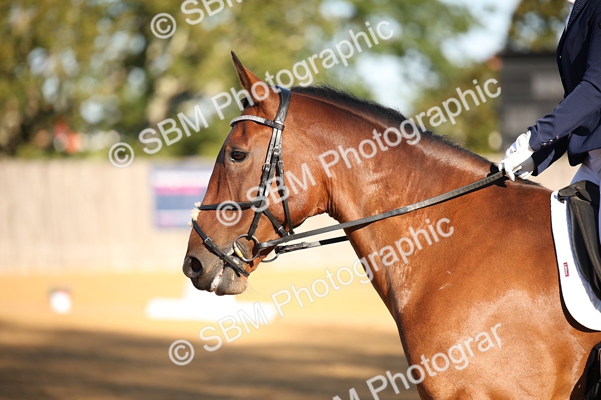 SBM_18244 - D31 - Grand Tour - PYO Open