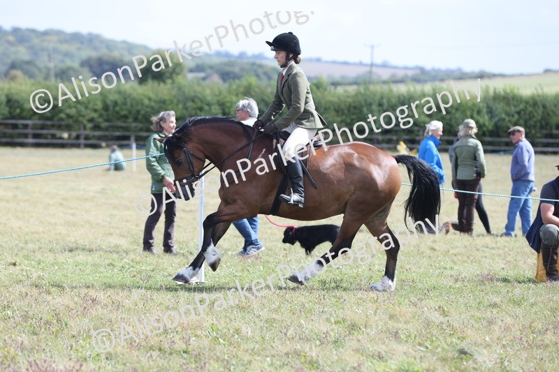 20250831-2970 - Class 19 - Mountain and Moorland