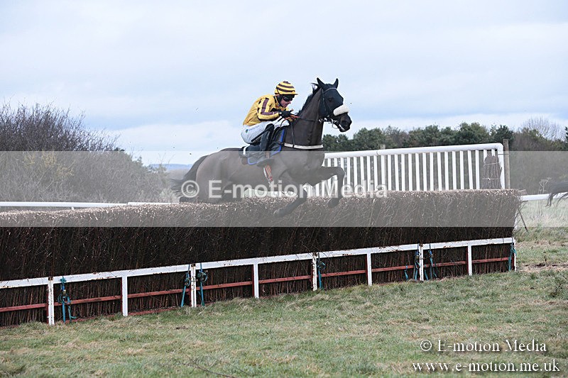 PtP 230119 153 - Royal Artillery Point-to-Point  - Larkhill  - 26/01/19
