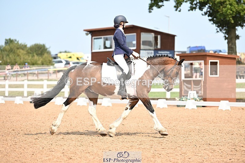 250816-140423-04992 - 050-Mollie.SheathTouch.Wood