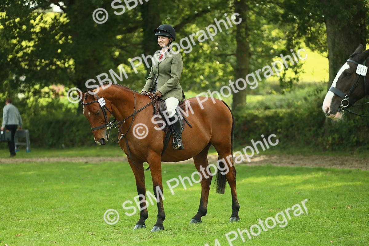 SBM_52158 - S33 - Working Hunter & Working Show Horse