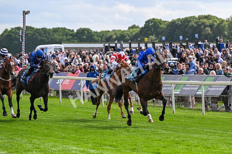 130626-Race 5-Inner City Blues-0582 - Race 5 16.15pm Tomahawk Restaurants Supporting Macmillan EBF Maiden Stakes