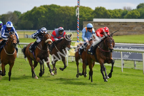 yr22052021r4-25 - Race 4 3.50pm WilliamHill.com Best Odds Guaranteed Stakes