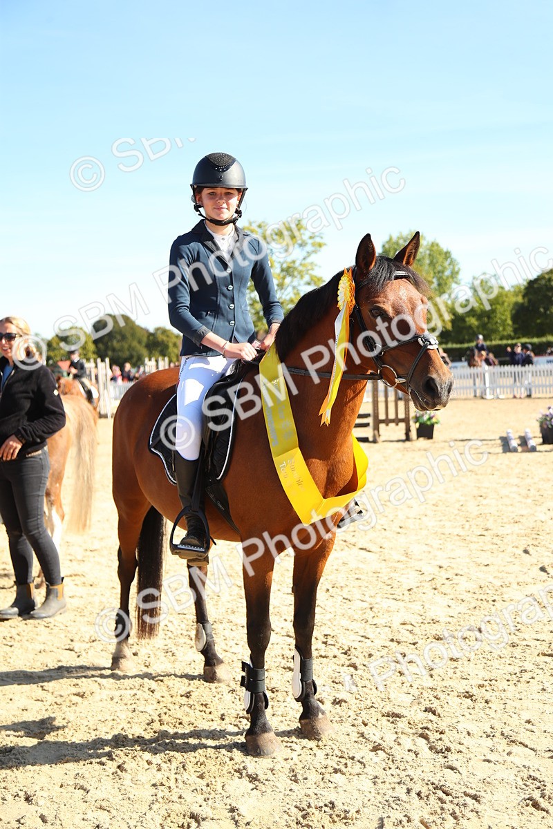 SBM_36024 - J5 - Junior Pony 50cm Championship