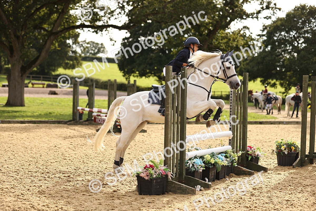 SBM_52831 - J10 - Junior Pony 75cm Championship