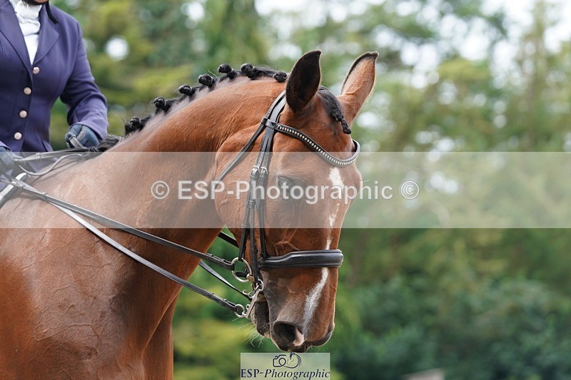 240721-103036-07617 - 193-Sally_Burchell-Tobiastar