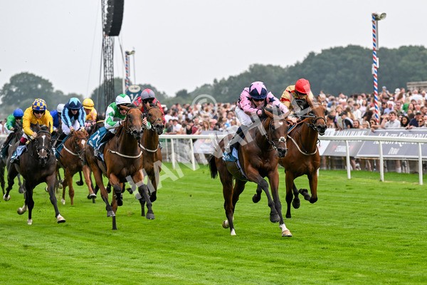 250725-Race 3-Amakhala Warrior-0513 - Race 3 6.38pm Ire-Incentive, It Pays To Buy Irish EBF Restricted Novice Stakes