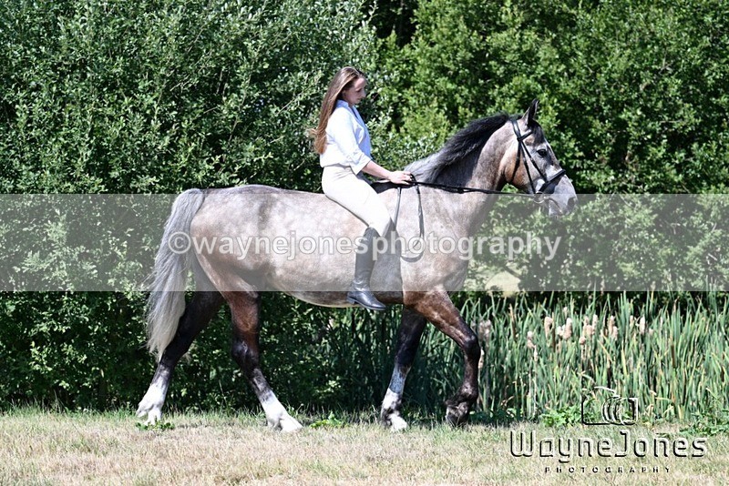 WJ7_4132 - Annable & Atlas 13-07-25