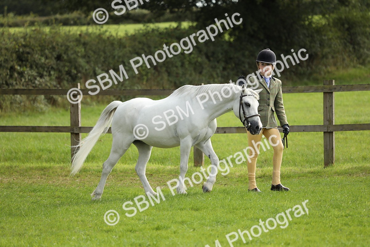 SBM_68529 - S40 - Junior Handler 9-12 Years