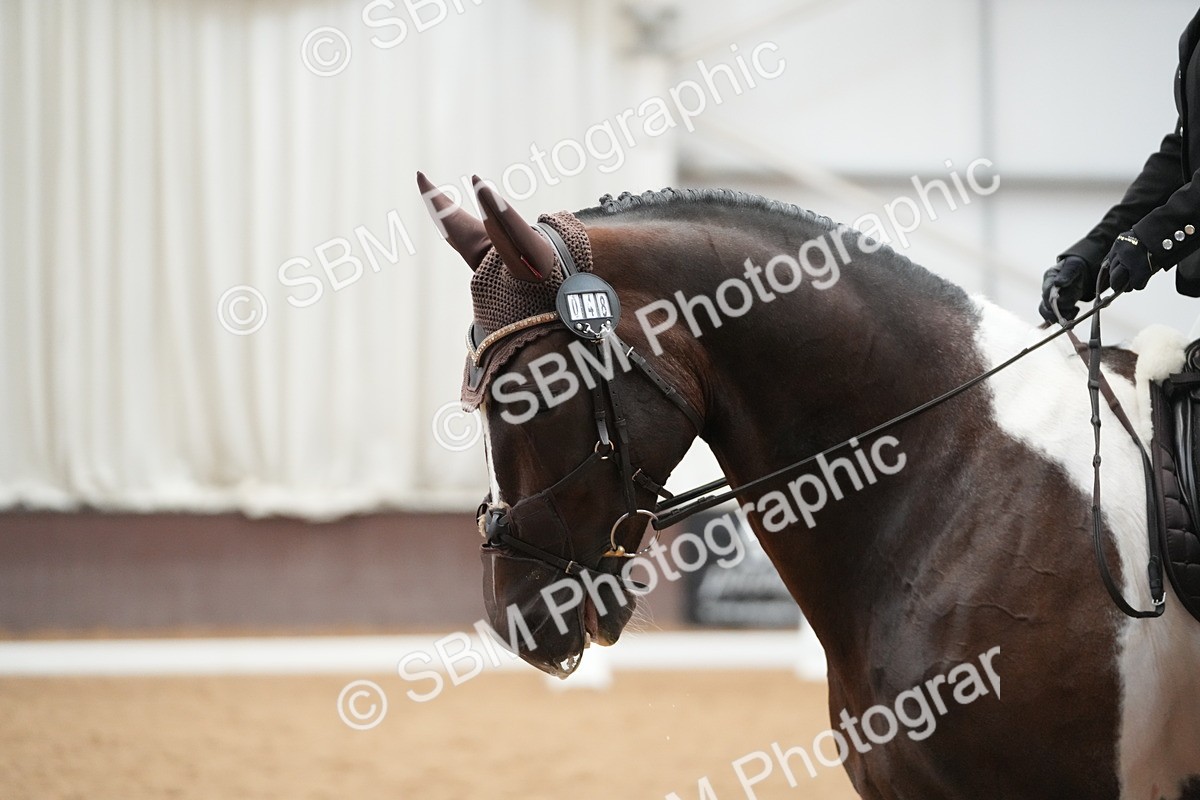 SBM_004347 - Class 11 - Elementary 2 Champs