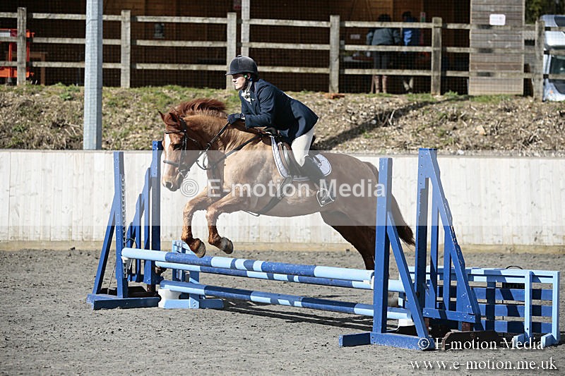 BVRC SJ 170319 113 - Bourne Valley Riding Club Showjumping 17/03/19