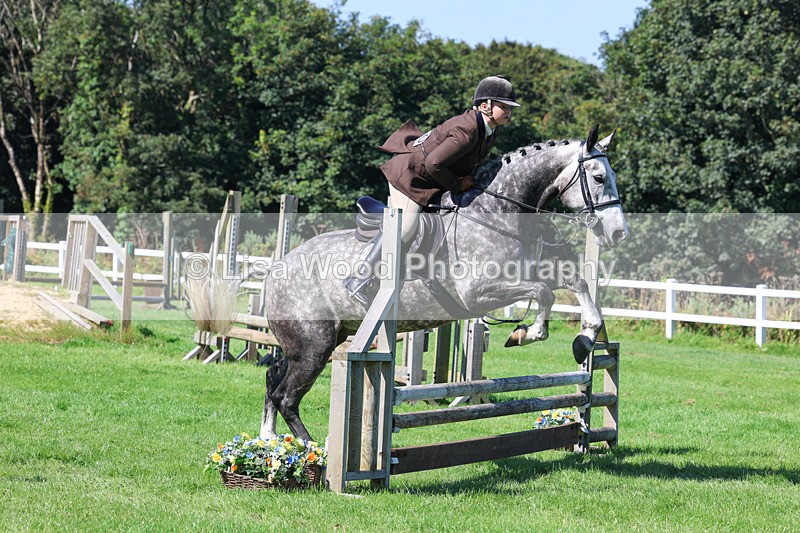 3E7A8287 - Class 4: Novice working Hunter