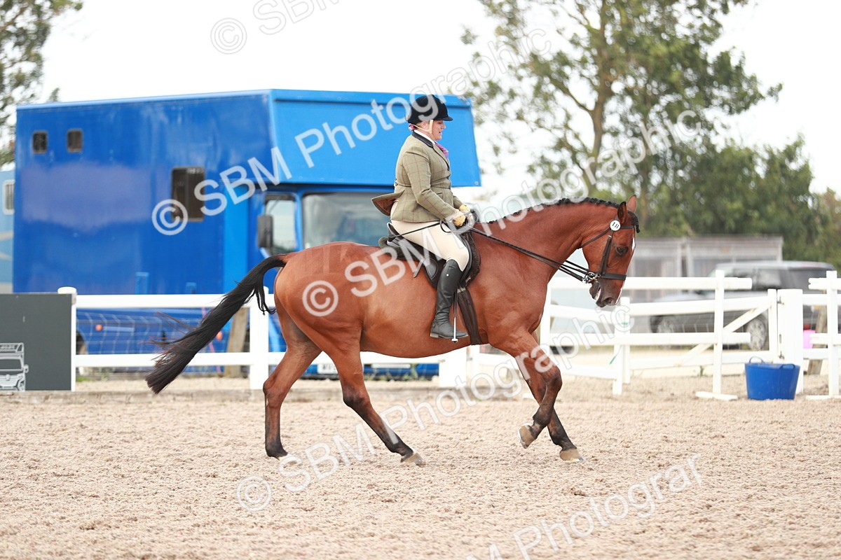 SBM_15491 - Class 213 Ridden Hunter -Large