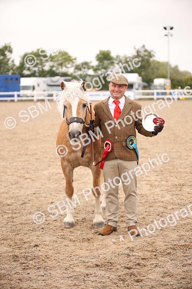 SBM_22170 - Class 707 - Ridden Groom-Helpers Class