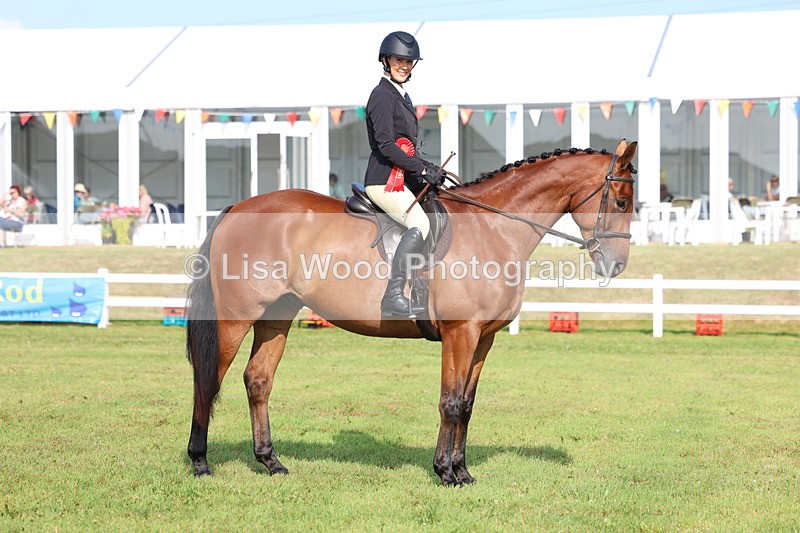 3E7A8390 - Class 2: Rising Star Large Hack/Riding Horse