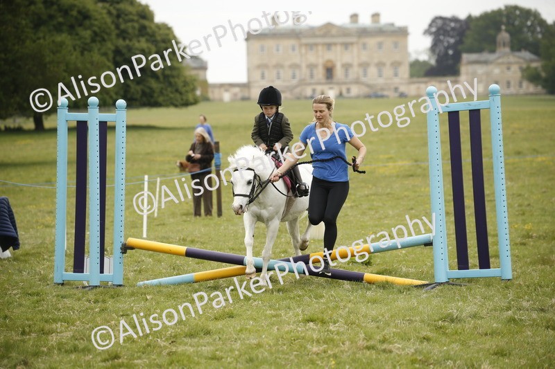 20250517-0146 - Class 1 - 30cm On Lead Rein