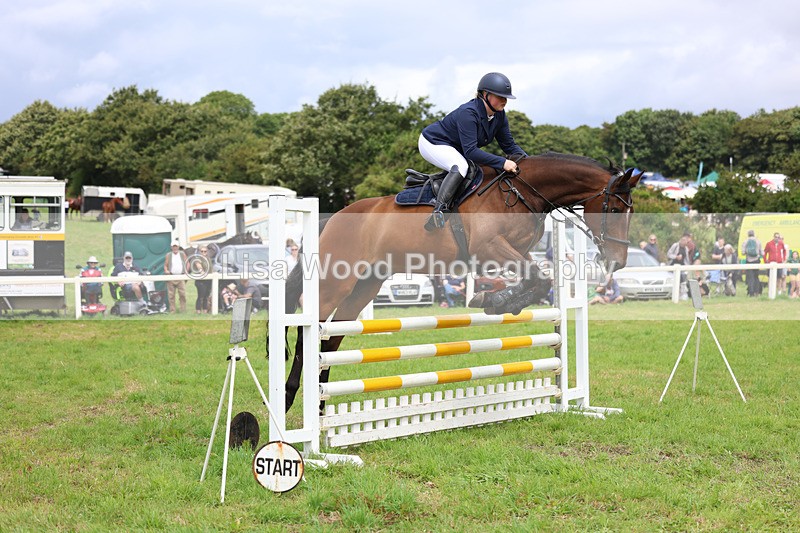 3E7A7389 - Class 5: Senior British Novice/90cm open