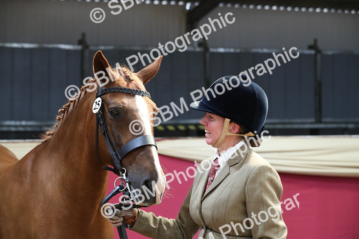 SBM_04439 - Class 7R Regional - IH Diamond