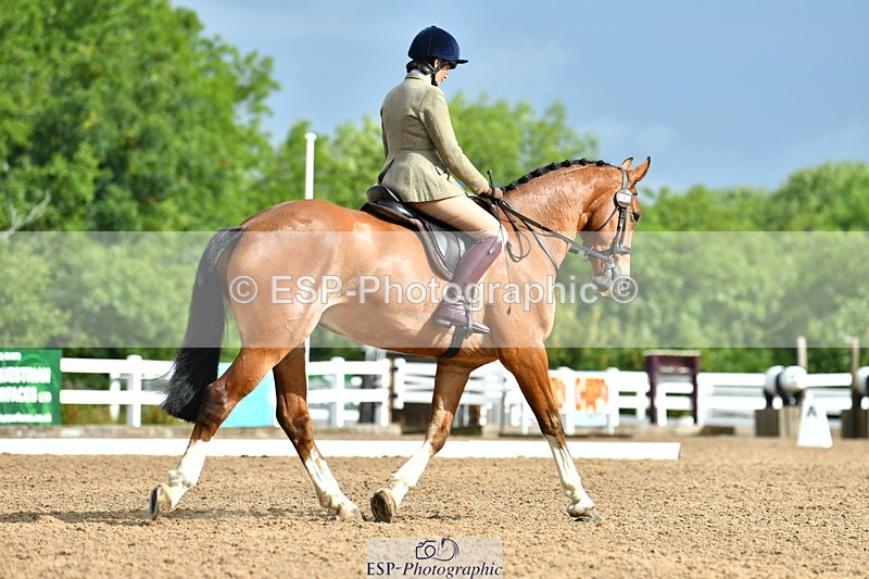 230708A-092712-02098 - Prelim 13