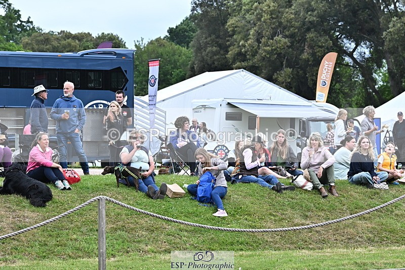 250524A-124331-11029 - Western Counties Crowds