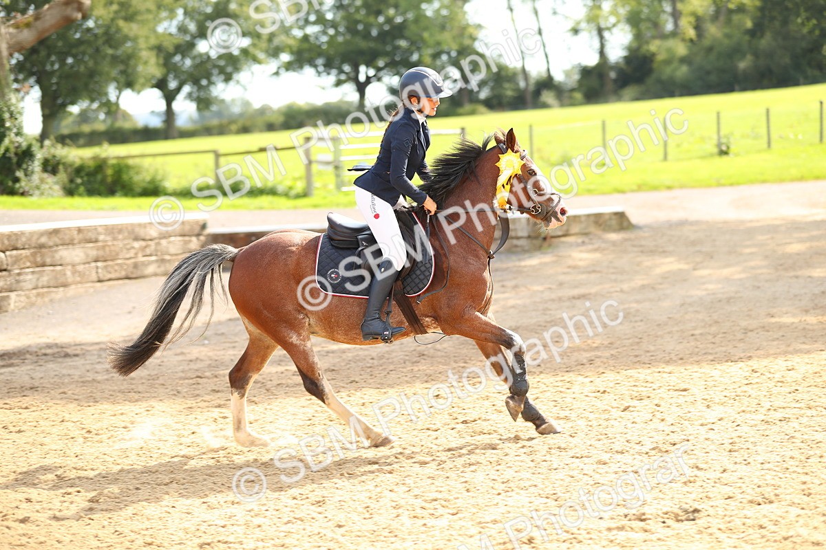 SBM_68050 - J17 - Junior Pony 80cm Championship