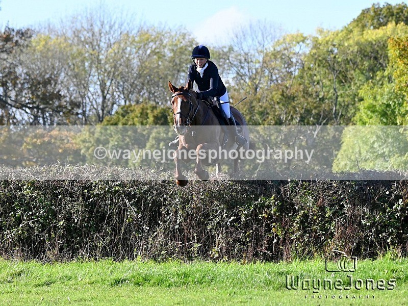 WJ6_4960 - Edited examples