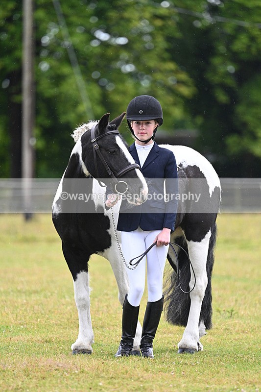 WJ7_5888 - Class 4 Prettiest Mare in Hand