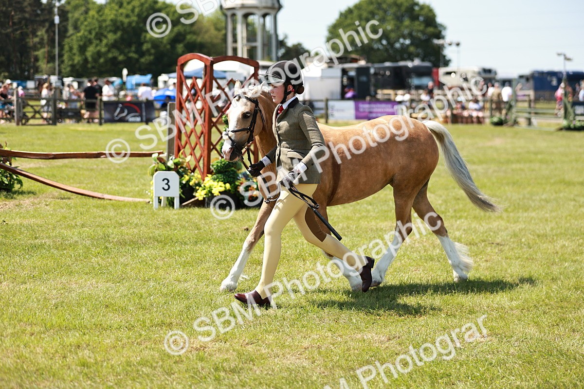 SBM_15707 - Class 108-109 - BSPS LIHS Open Gradle & Nursery Stakes