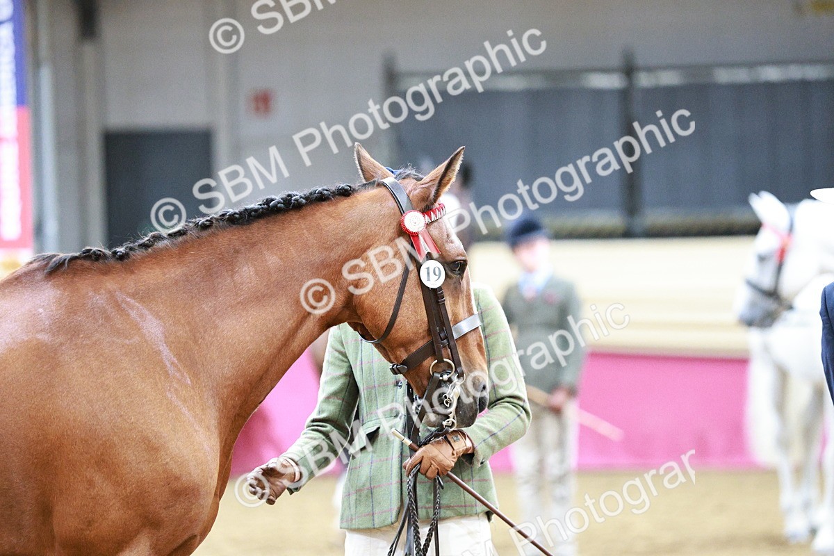 SBM_01187 - Class 3A - Area IH Pre-Vet