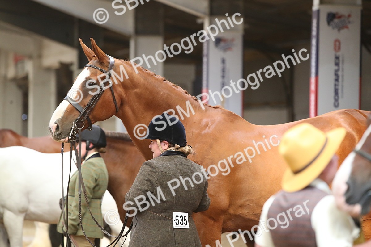 SBM_05645 - Class 9R - Regional IH Pre-Vet